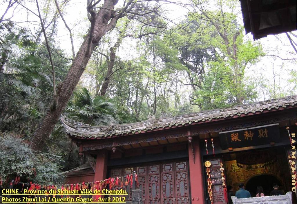 Chengdu avril 2017 - 091.JPG